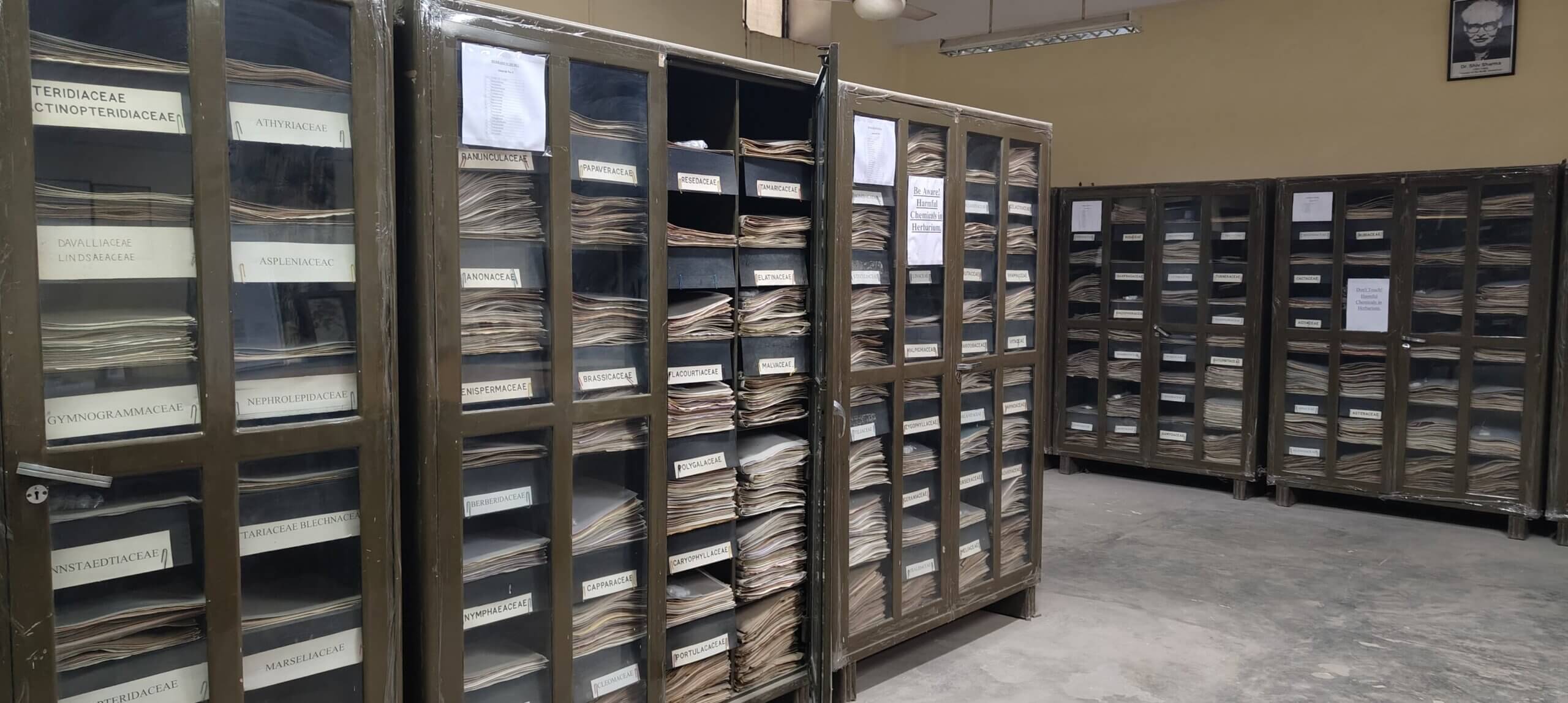 RUBL Herbarium university of rajasthan