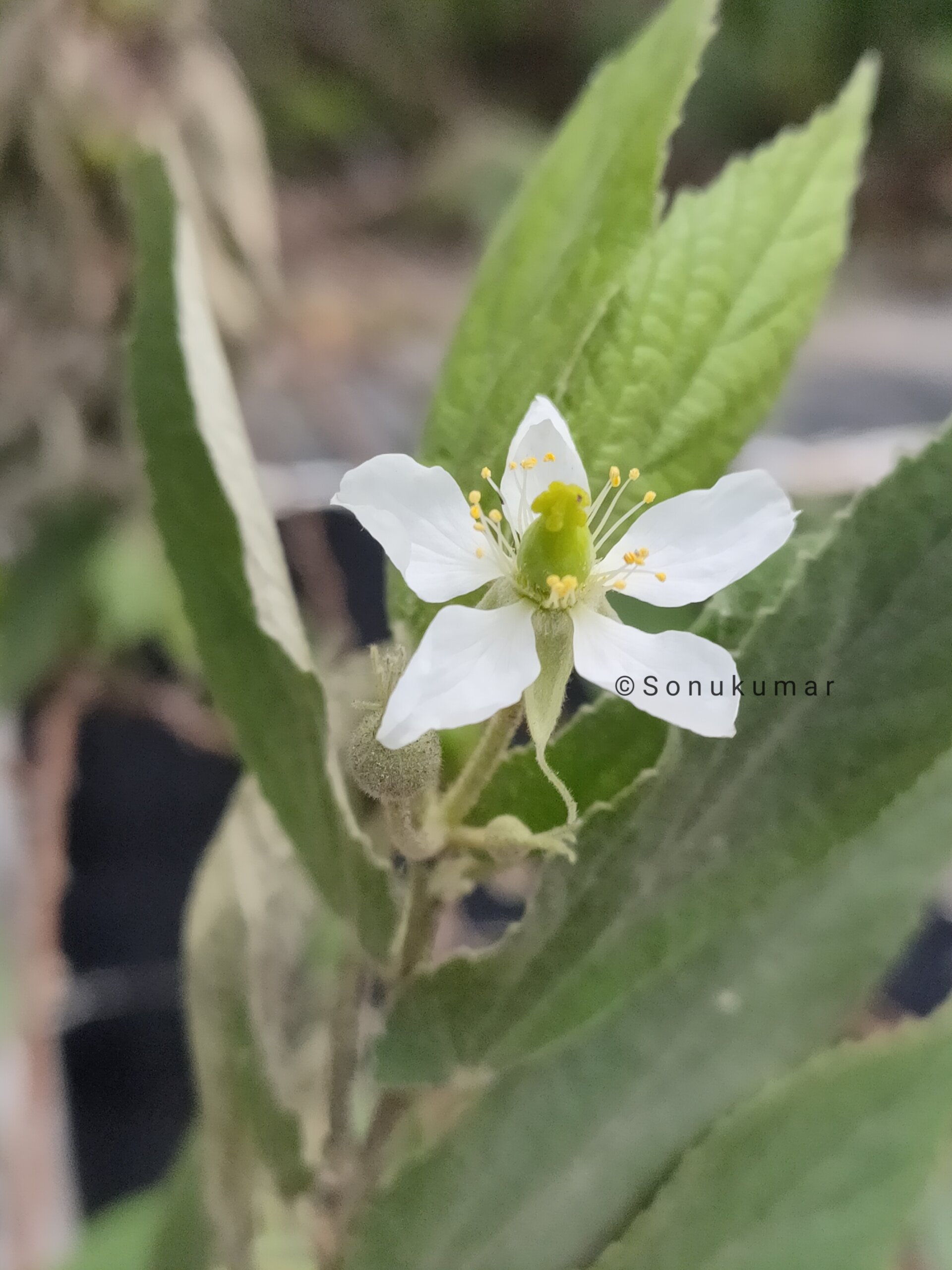 Photo_1756521633516