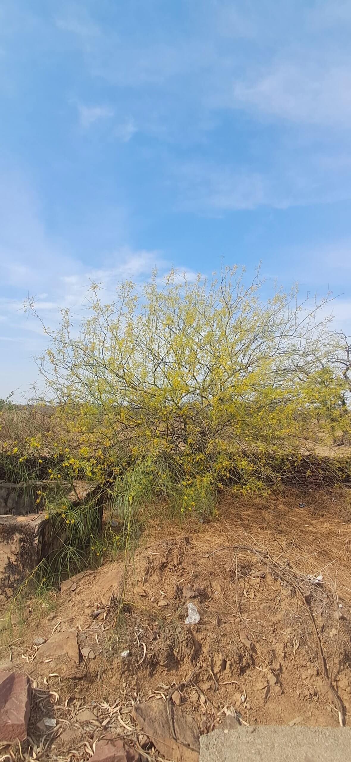 Home 1 IMG-20260325-WA0086