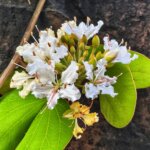 Home 53 IMG-20260518-WA0022