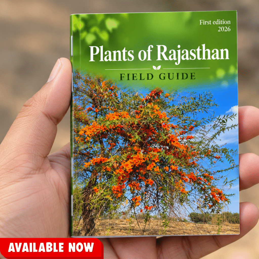 Plants of Rajasthan – Field Guide 3 Plants of Rajasthan – Field Guide 2