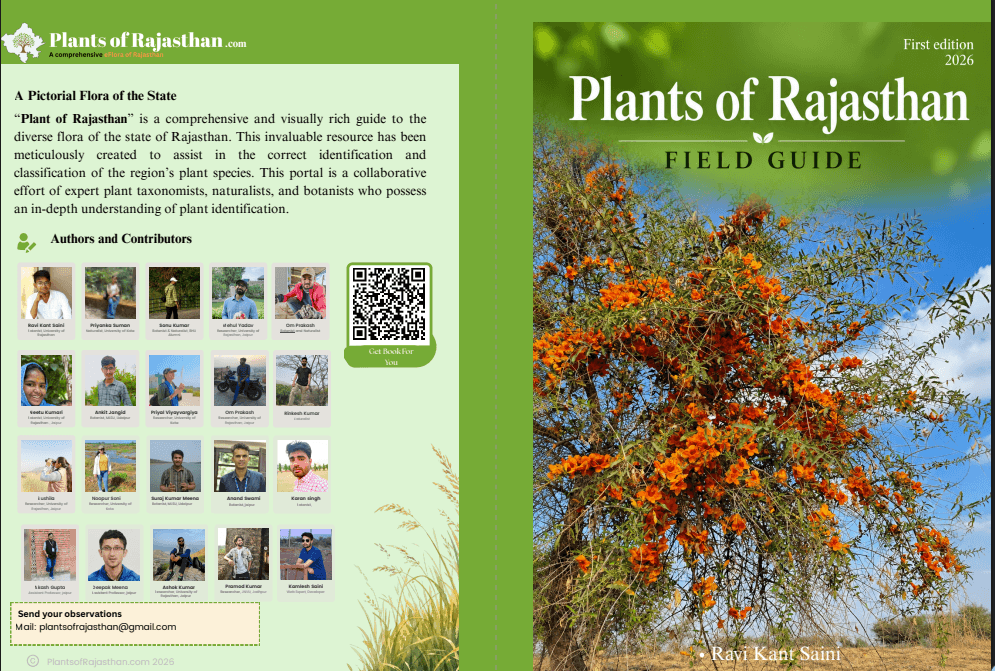 Plants of Rajasthan booklet
