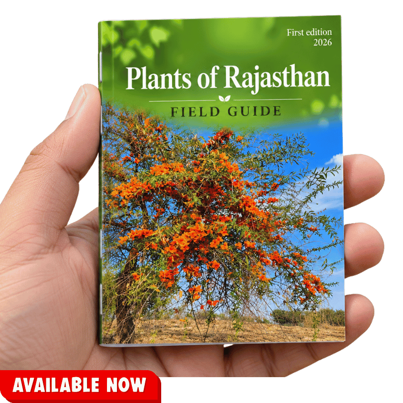 Plants of Rajasthan Field Guide